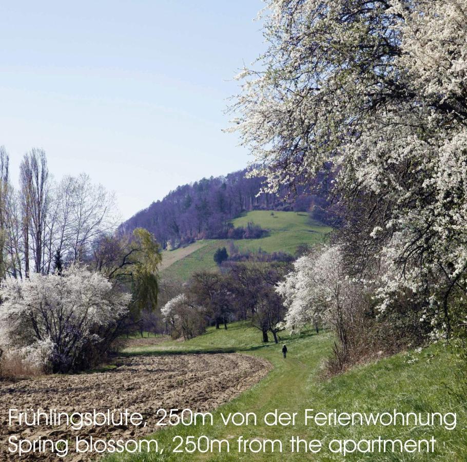 Passivhaus 750M Vom Bodensee -- 2X E-Bike Inklusive -- Neubau 2019 Am Ortsrand Энинген Экстерьер фото
